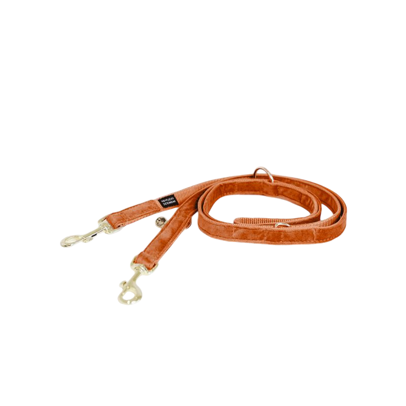 Kentucky Dogwear - Laisse pour chien Velvet 2m orange | - Ohlala