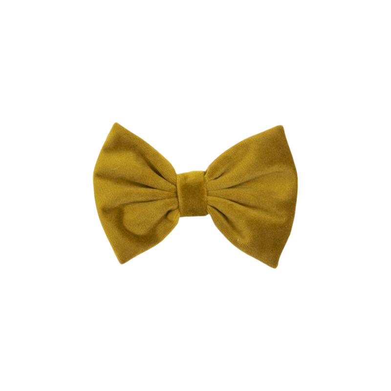Kentucky Dogwear - Nœud papillon velvet moutarde | - Ohlala