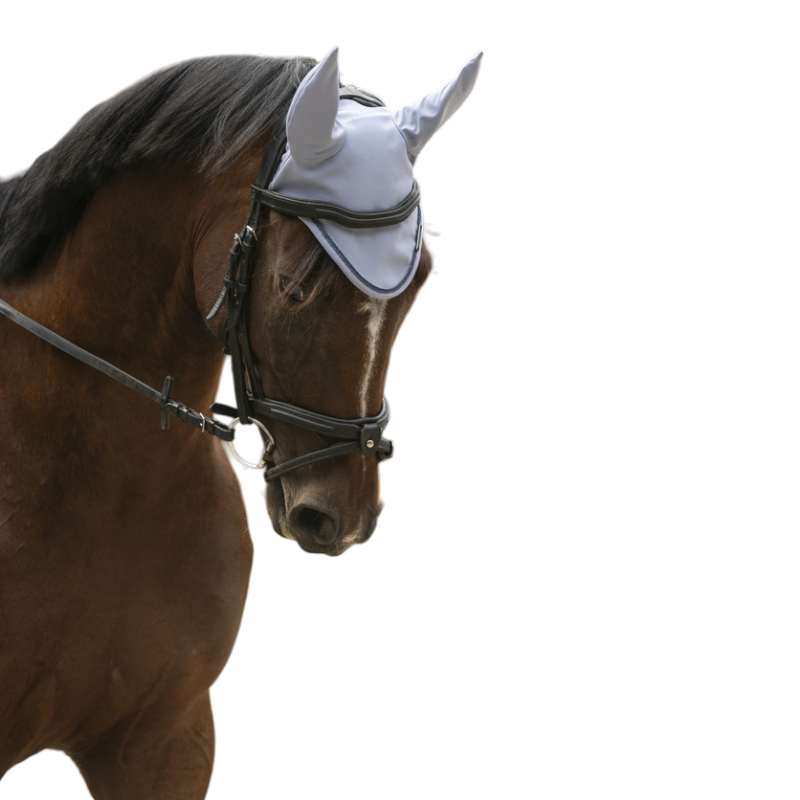 Lami-cell - Bonnet pour chevaux Midnight bleu ardoise | - Ohlala