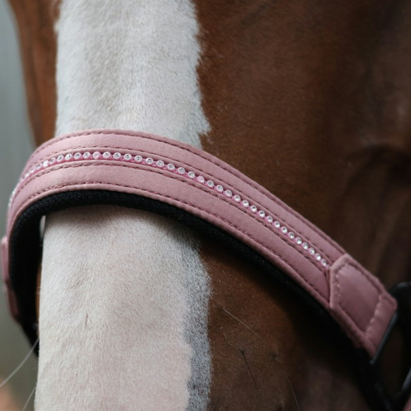 Lami-cell - Licol Charming vieux rose | - Ohlala