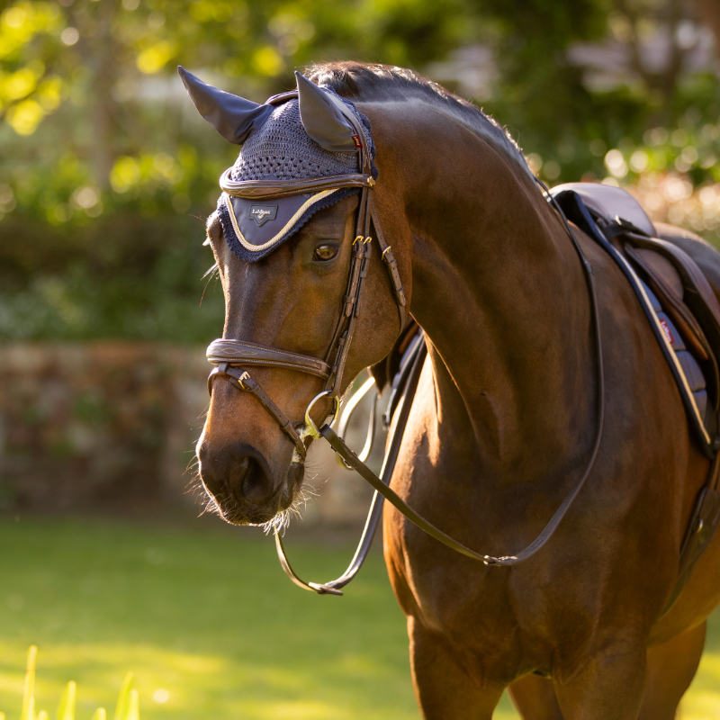 Lemieux - Bonnet pour chevaux Loire dusk blue | - Ohlala
