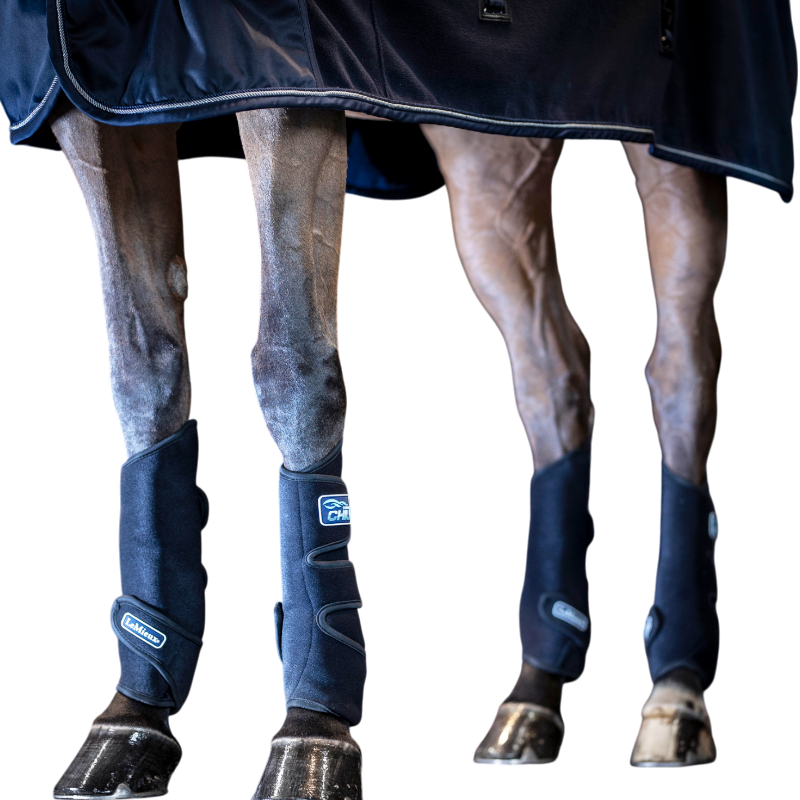 Lemieux - Guêtres rafraîchissantes Tendon Chill Boots noir (x2) | - Ohlala