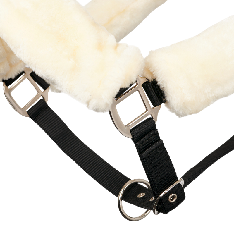 Lemieux - Licol pour chevaux Comfort natural | - Ohlala