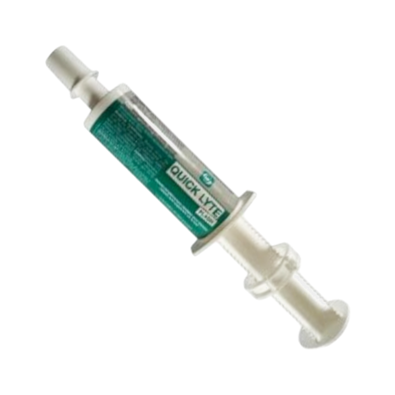 LPC Laboratory - Electrolytes Quick Lyte Flash food supplement syringe 25g