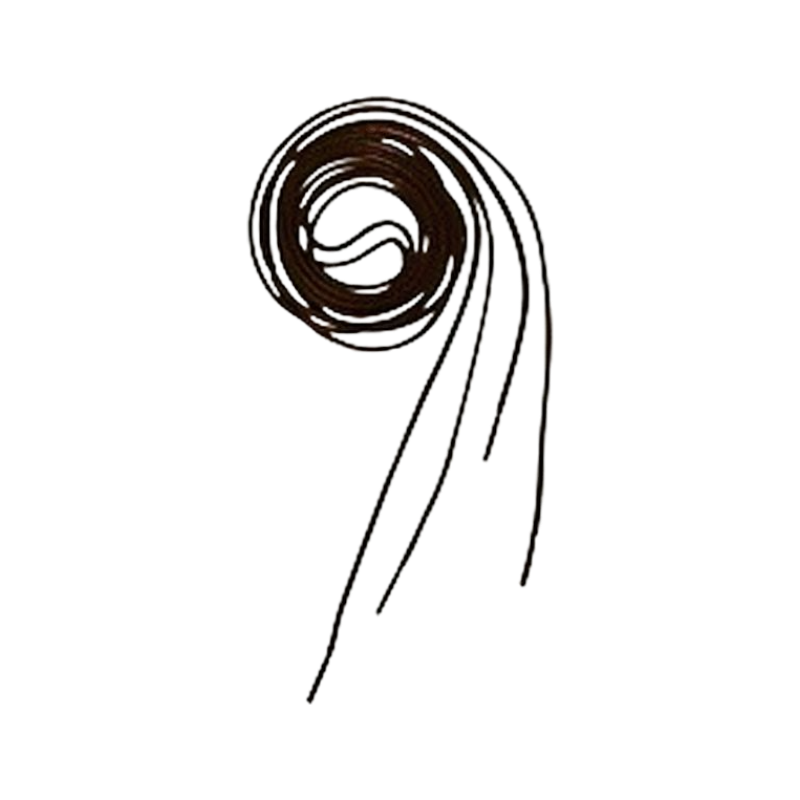 Equithème - Lacets noir | - Ohlala