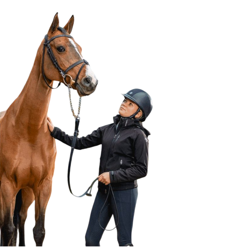 LeMieux - Longe de présentation Trot Up marron | - Ohlala