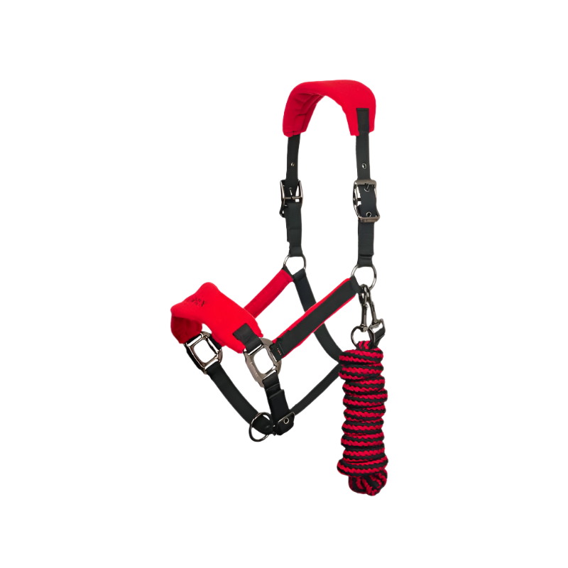 LeMieux - Ensemble licol + longe Vogue noir/ rouge | - Ohlala