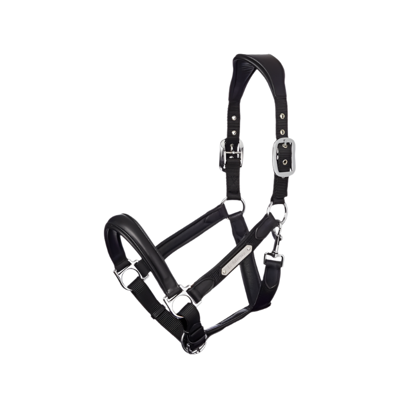 Lemieux - Licol Capella noir | - Ohlala