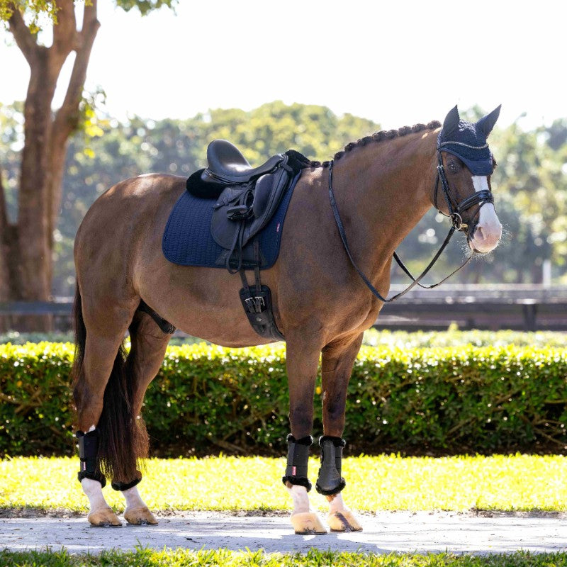 Lemieux - Tapis de dressage Finesse marine | - Ohlala