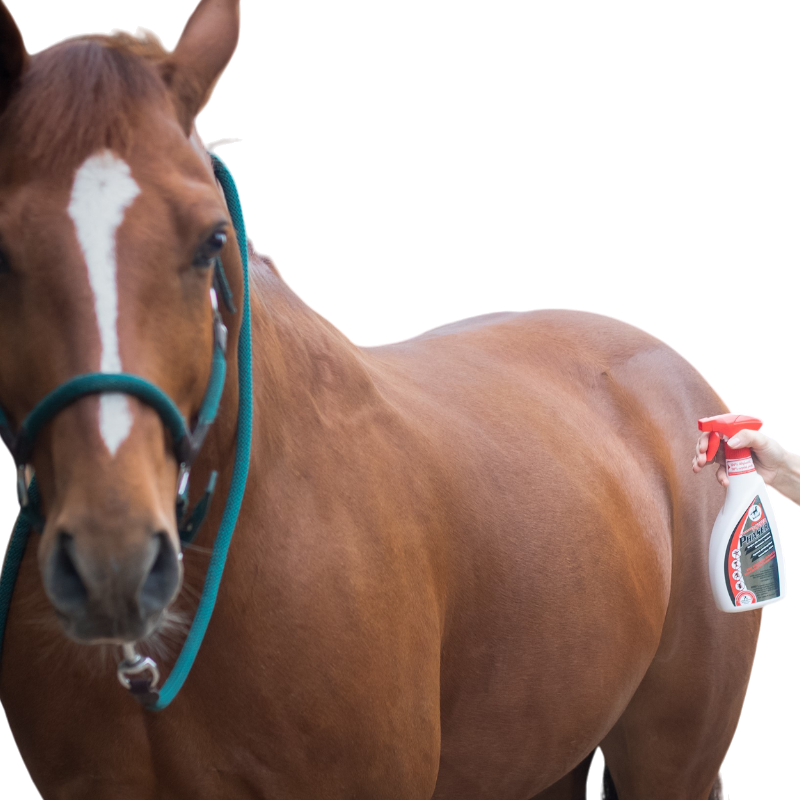 Leovet - Repulsif Spray Tads en Intept Power Phaser