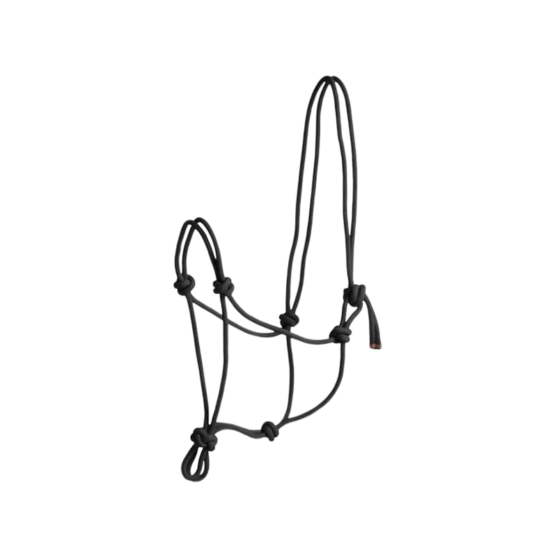 Norton - First rope halter black