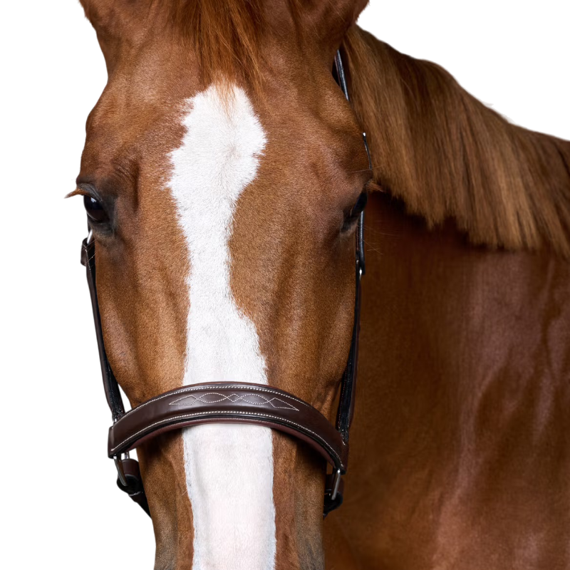 Dyon - Licol cuir Fancy Working Collection marron