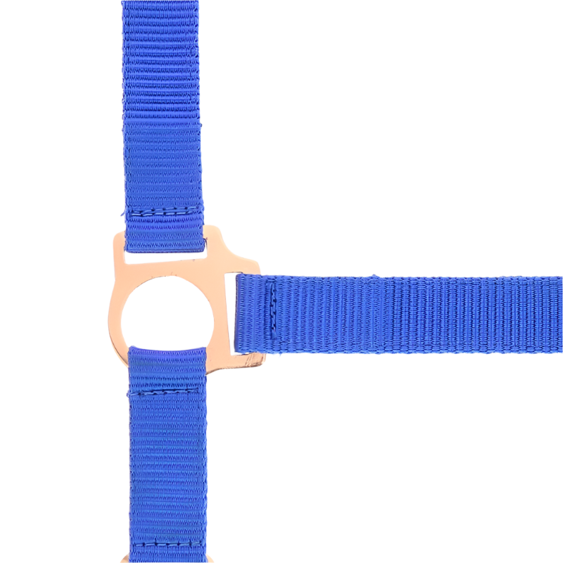 Norton - Nylon halter and lead rose gold/blue