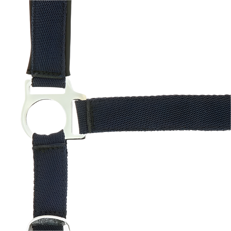 Norton - Licol nylon doublé néoprène marine | - Ohlala