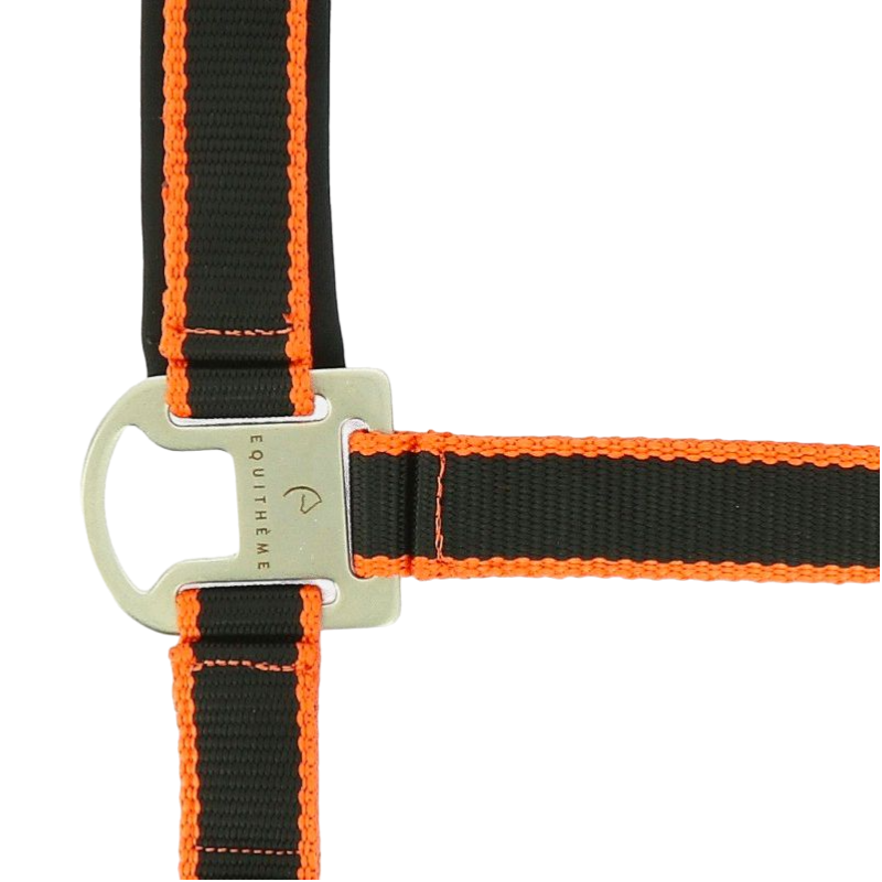 Equithème - Licol + longe Satiné noir/orange | - Ohlala