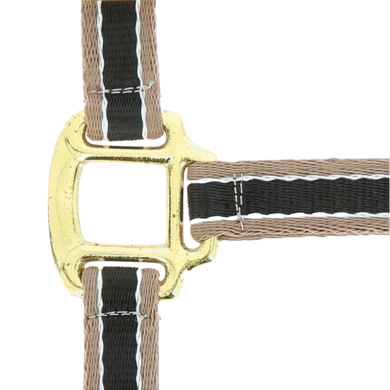 Equithème - Licol Polyfun noir | - Ohlala