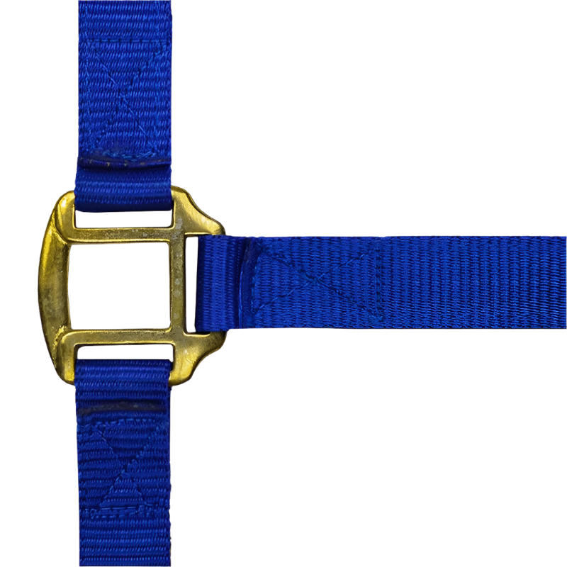 Norton - Licol nylon doublé cuir bleu roi | - Ohlala