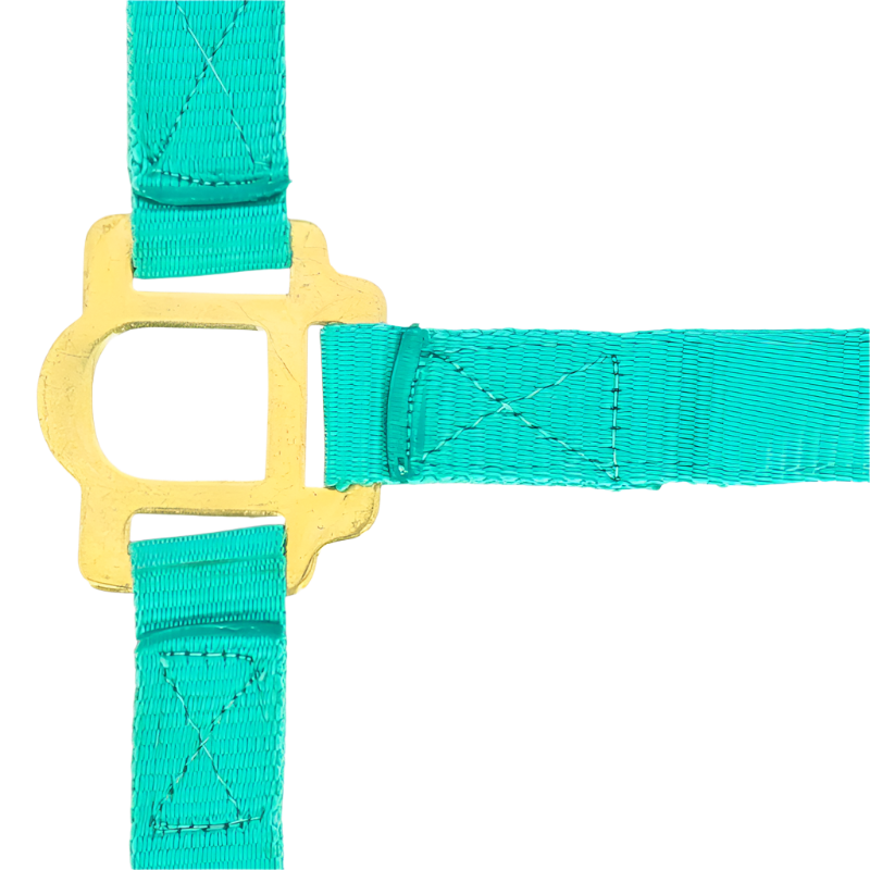 Norton - Licol nylon muserolle réglable turquoise | - Ohlala