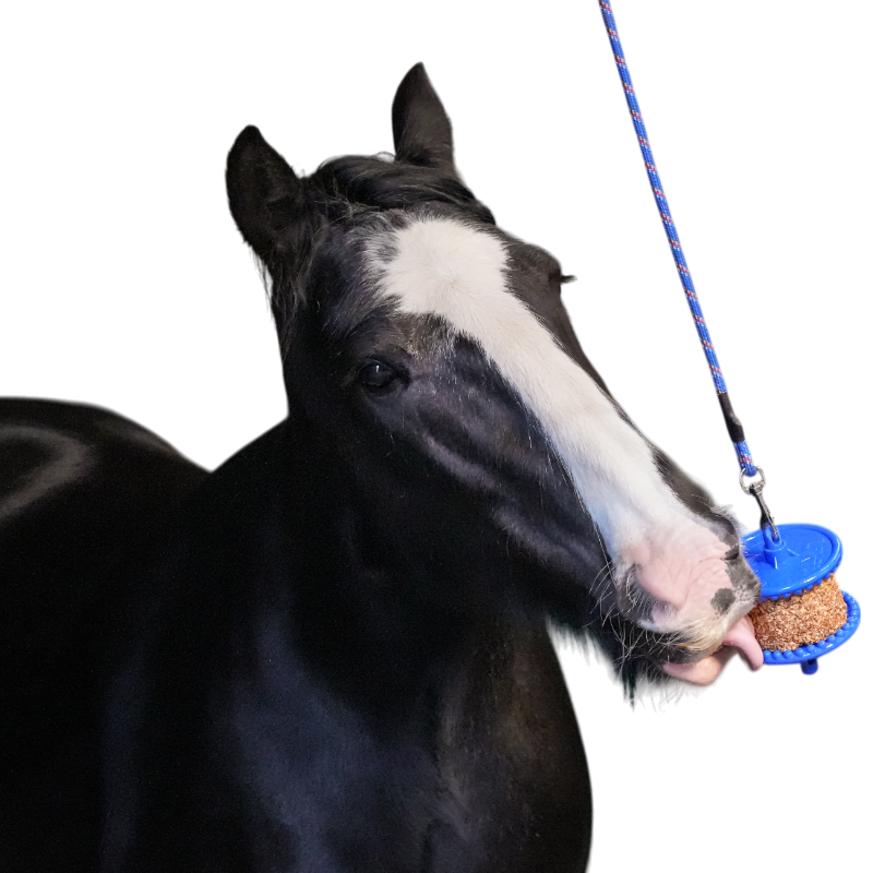 Likit - Friandise pour chevaux pierre granola allégée pomme
