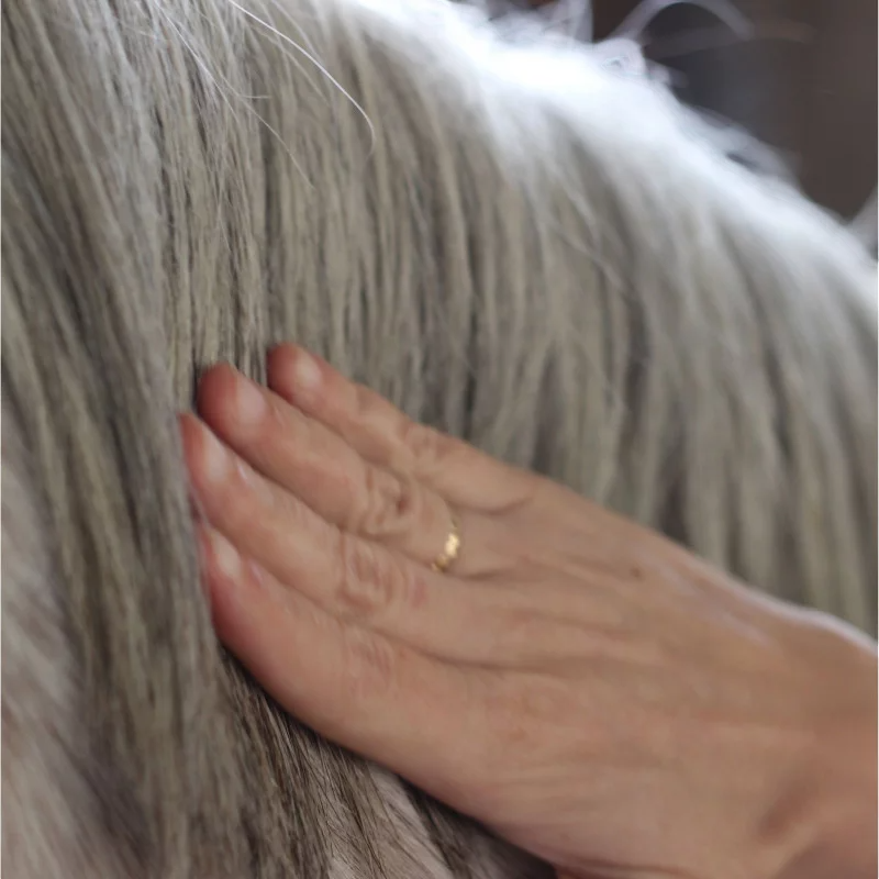 Nellumbo - Sérum concentré chevaux Sublime Crins | - Ohlala