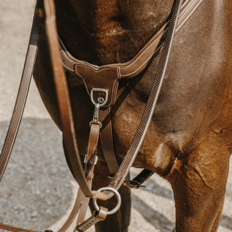 Norton - Collier de chasse 5 points havane | - Ohlala