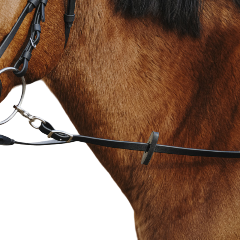 Norton - Rênes caoutchouc Training PVC noir | - Ohlala