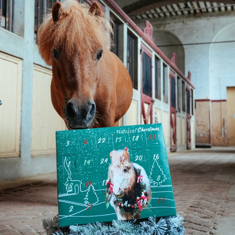 Natural' Innov - Adventskalender Natural'Christmas Gourmet 2025