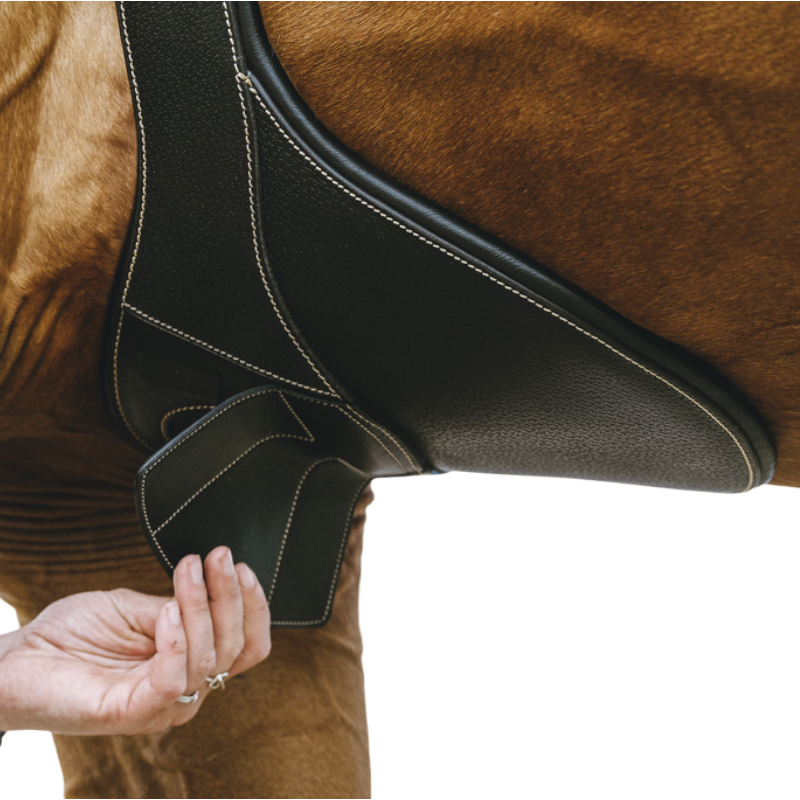 Norton - Sangle bavette Magnet noir
