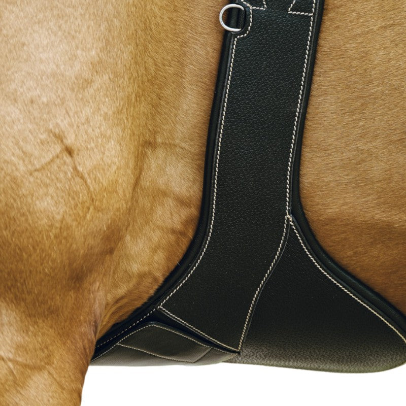 Norton - Sangle bavette Magnet noir