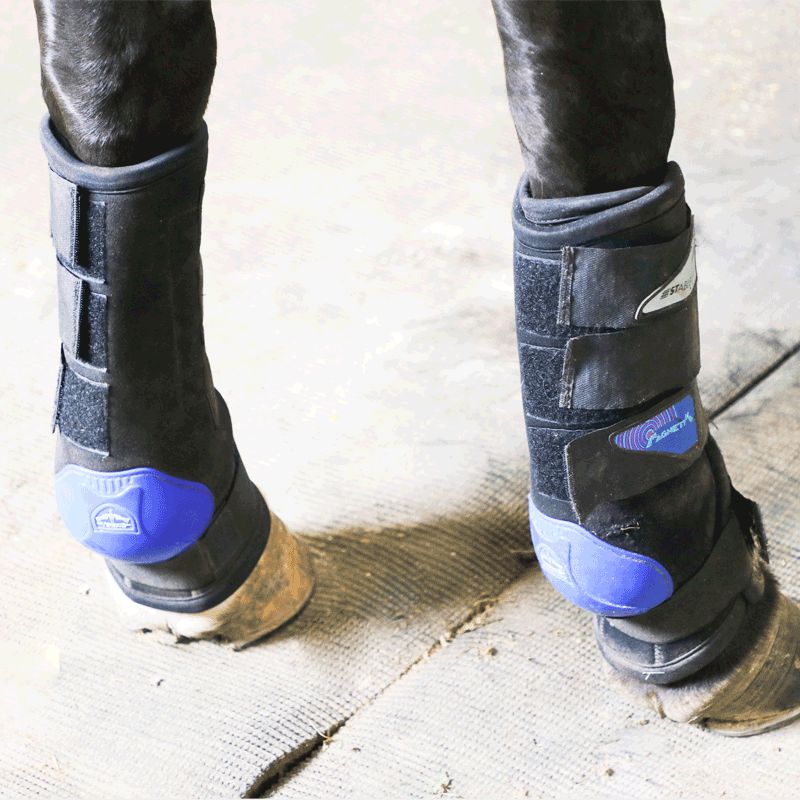 Veredus - Guêtres d'écurie antérieures Magnetik | - Ohlala
