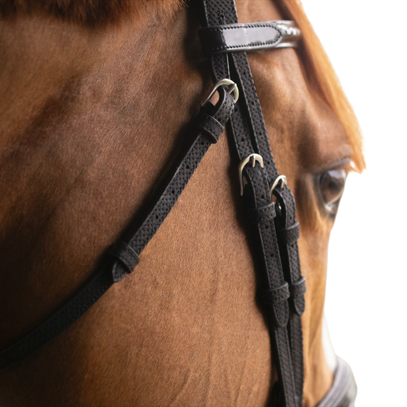 Pénélope - Bridon Oxford noir | - Ohlala