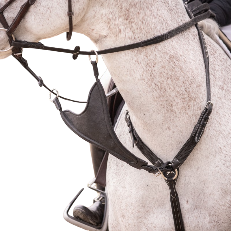 Pénélope - Fourche de martingale Bip Plain élastique noir | - Ohlala