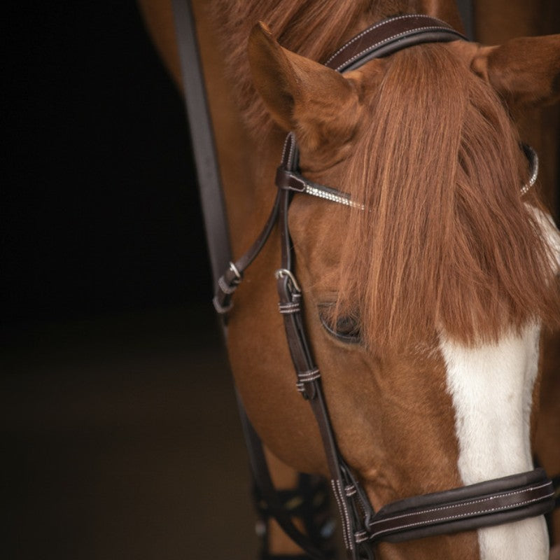 Pénélope - Bridon Daily Strass havane | - Ohlala