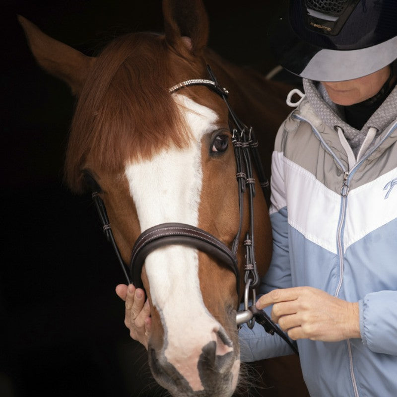 Pénélope - Bridon Daily Strass havane | - Ohlala