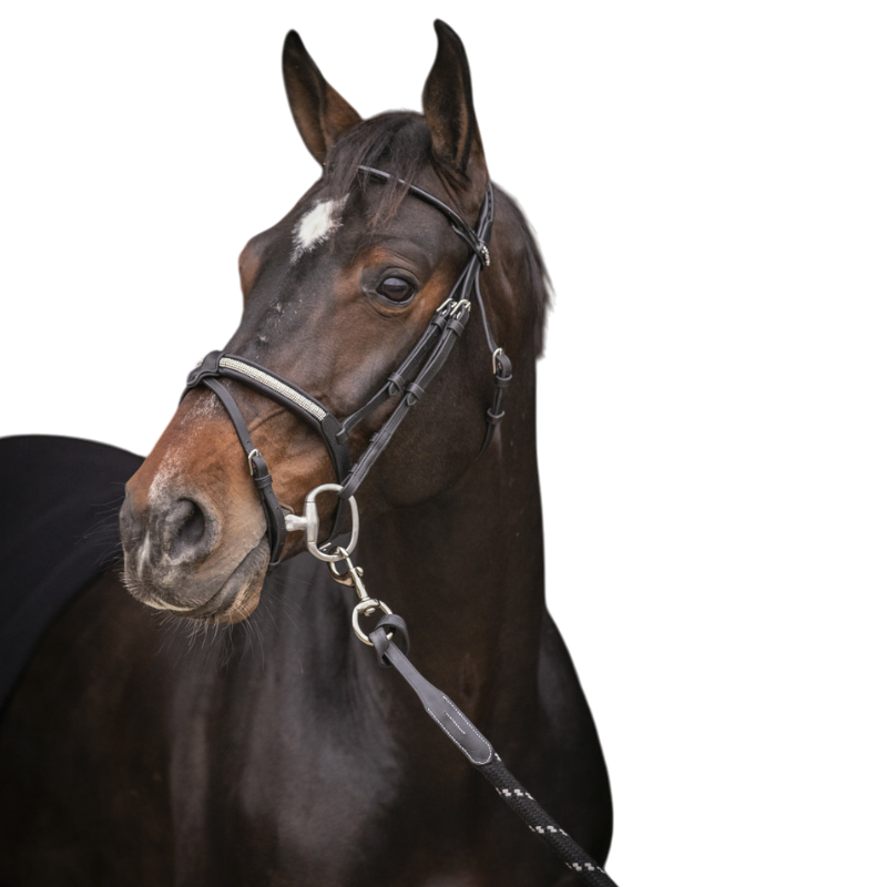 Pénélope - Symphony Bridle Black Rhinestones