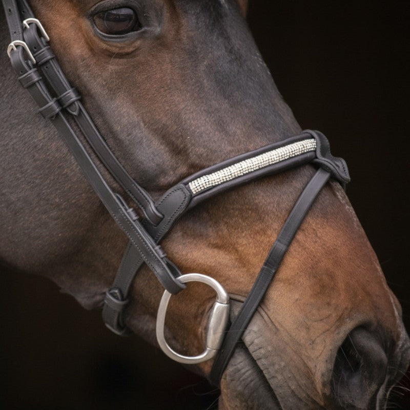 Pénélope - Symphony Bridle Black Rhinestones