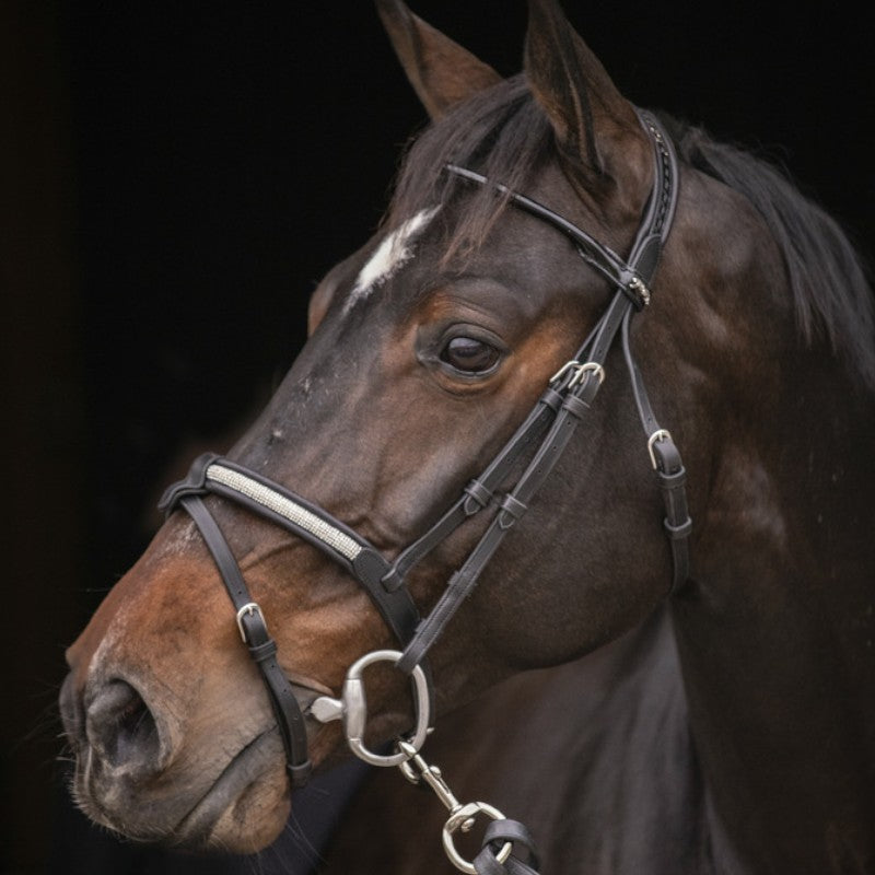 Pénélope - Symphony Bridle Black Rhinestones