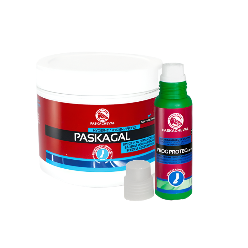 Paskacheval - Pack temps humide | - Ohlala