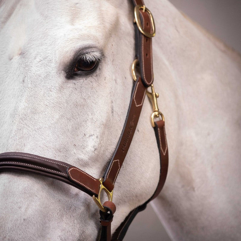 Paddock Sports - Halter 3 snap hooks Havana