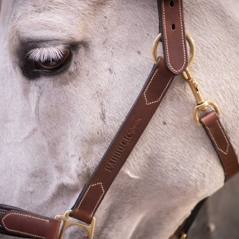 Paddock Sports - Halter 3 snap hooks Havana