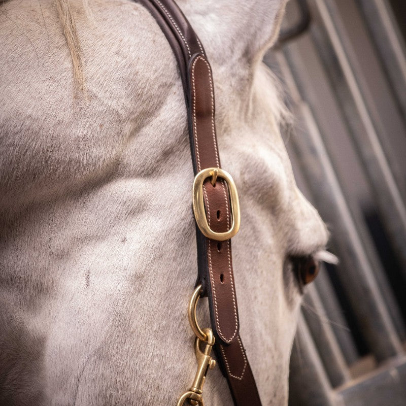Paddock Sports - Halter 3 snap hooks Havana