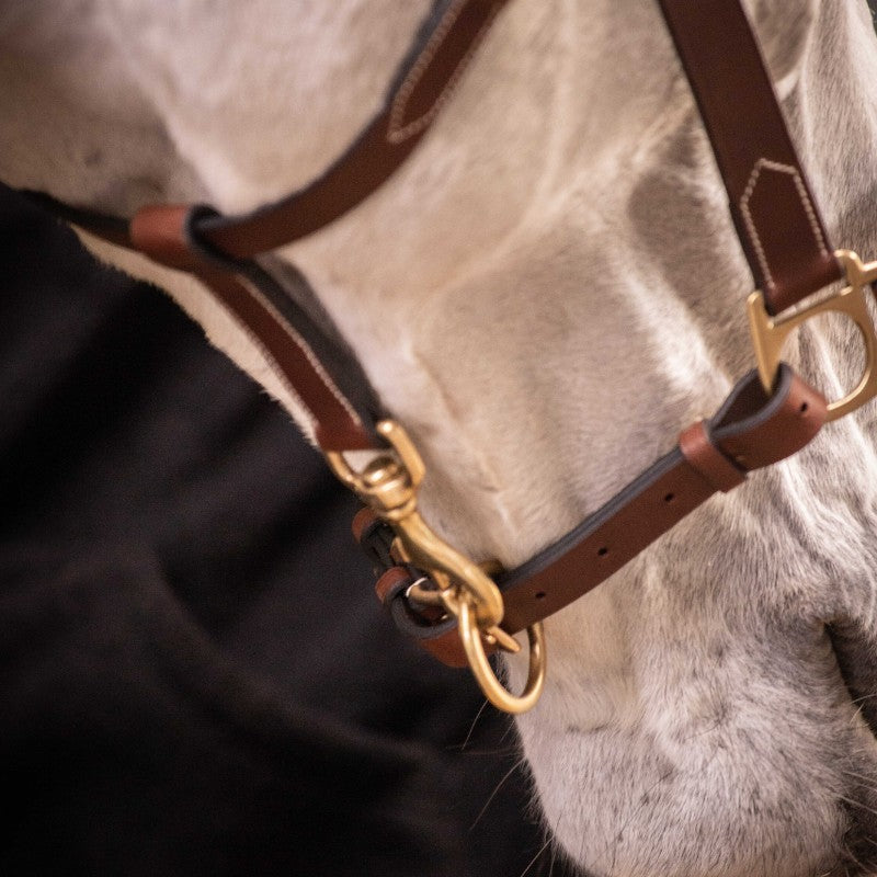 Paddock Sports - Halter 3 snap hooks Havana