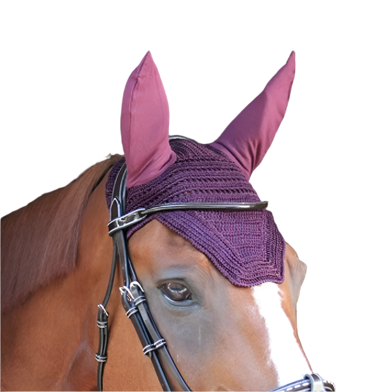 Paddock Sports - Bonnet Prems prune | - Ohlala