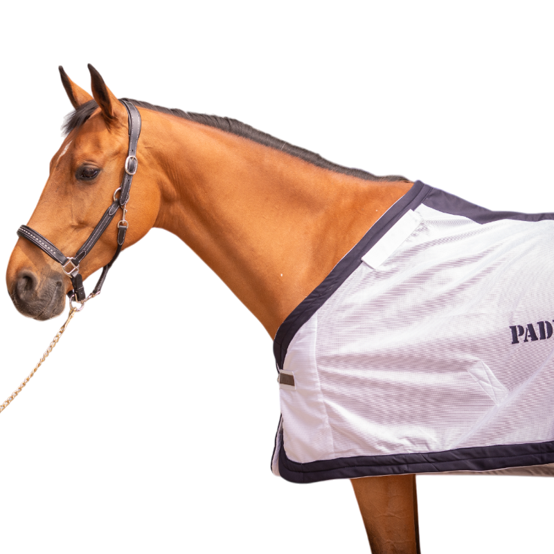 Paddock Sports - Chemise d'extérieur UV Mesh Combo blanc | - Ohlala