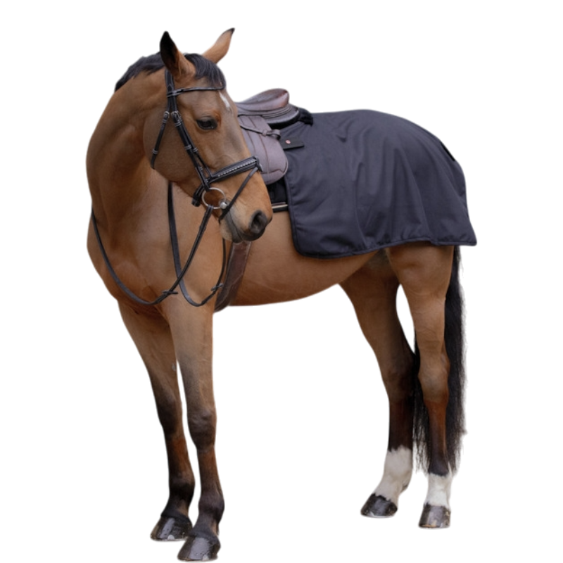 Paddock Sports - Couvre-reins Quarter Classic Rain noir | - Ohlala