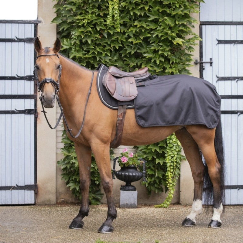 Paddock Sports - Couvre-reins Quarter Classic Rain noir | - Ohlala