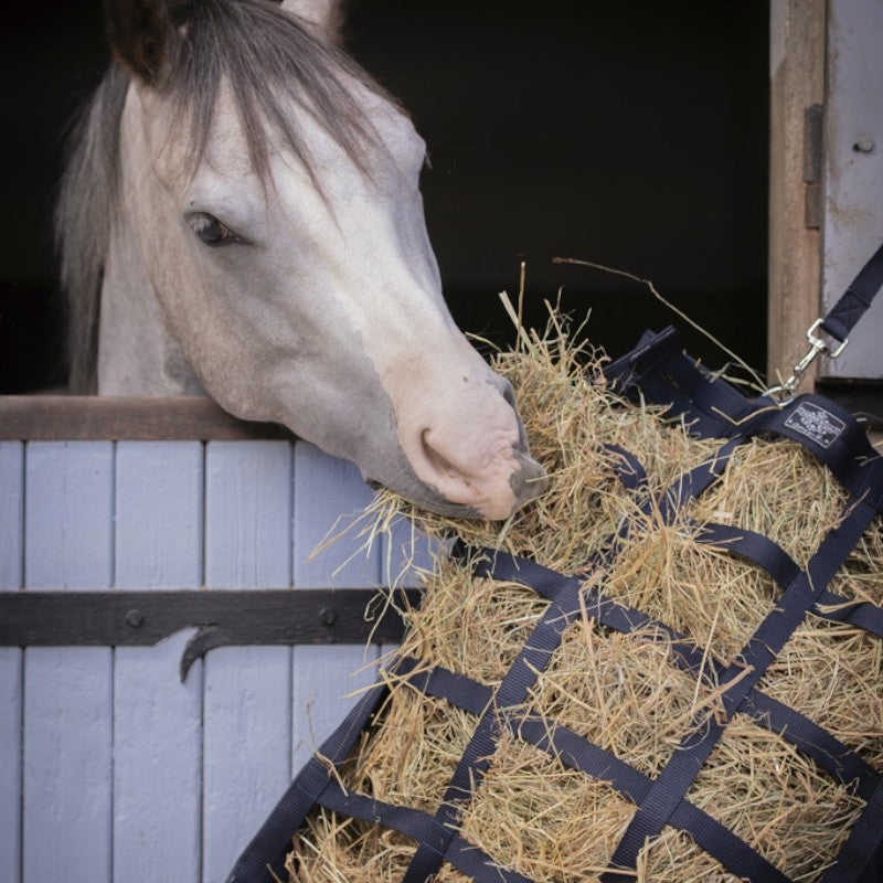 Paddock Sports - Filet à foin marine | - Ohlala