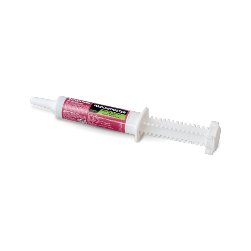Paskacheval - Dieetsupplement Paskabooster Recovery -spuit