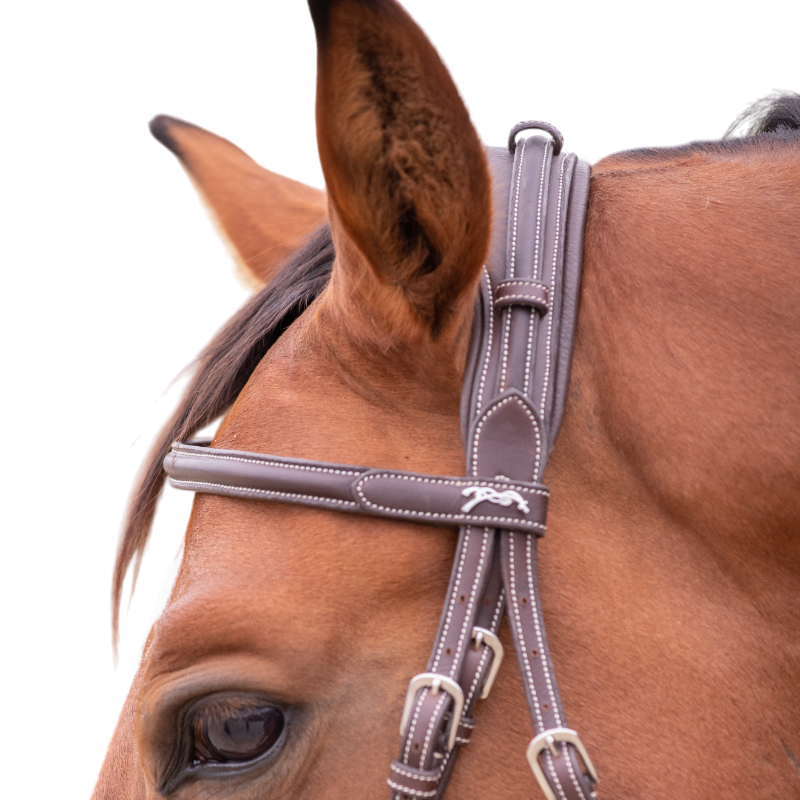 Pénélope - Bridon Elégance havane | - Ohlala