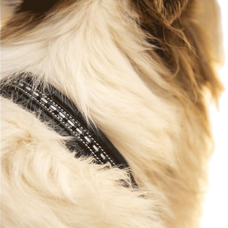 Pénélope - Zwarte honden ketting